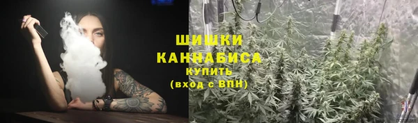 Альфа ПВП Фёдоровский