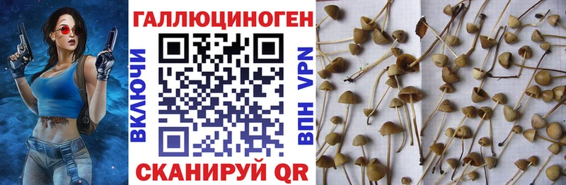Галлюциногенные грибы мицелий мориарти клад Заволжск